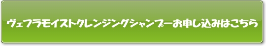ヴェフラモイストクレンジングシャンプー申し込みはこちら